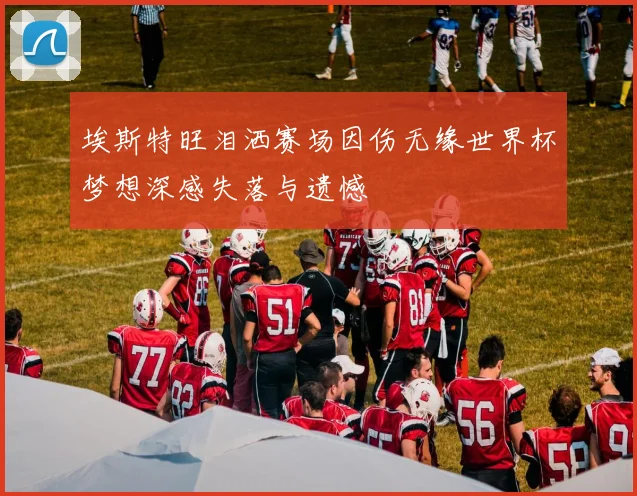 埃斯特旺泪洒赛场因伤无缘世界杯梦想深感失落与遗憾
