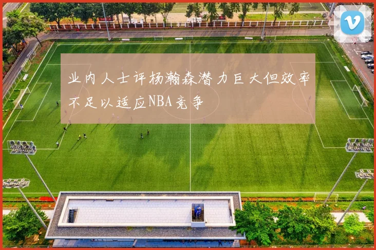 业内人士评杨瀚森潜力巨大但效率不足以适应NBA竞争