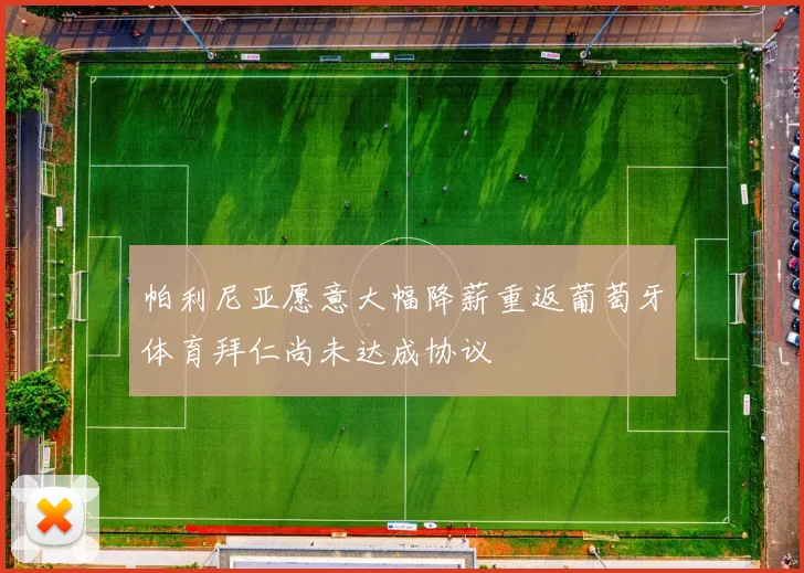 帕利尼亚愿意大幅降薪重返葡萄牙体育拜仁尚未达成协议