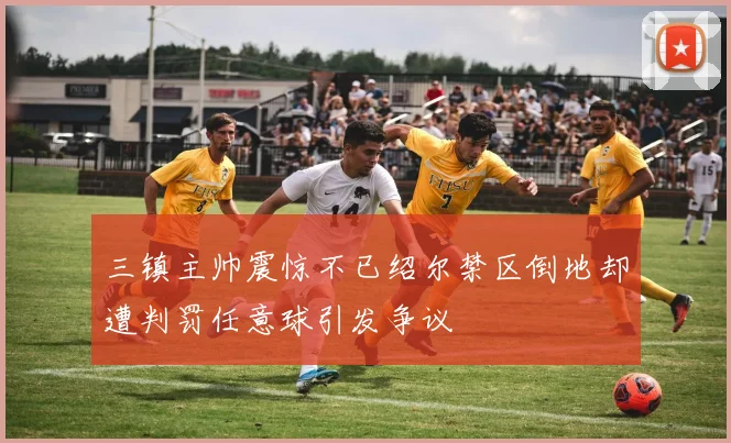 三镇主帅震惊不已绍尔禁区倒地却遭判罚任意球引发争议